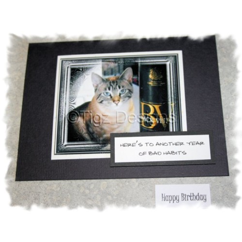 Funny Cat Birthday Cards - Bad Habits - Snuffles